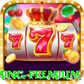 4296 - Gaming Premium