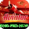 ndnd Pro New